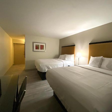 University Inn Of 카번데일 외부 사진